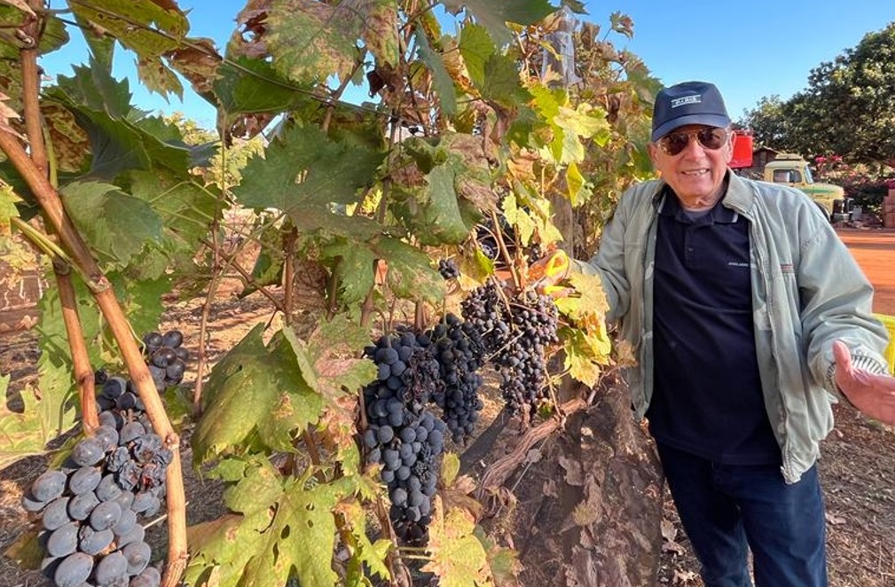 Vinícola Biagi (SP) inicia tour enogastronômico Foto Divulgação 6