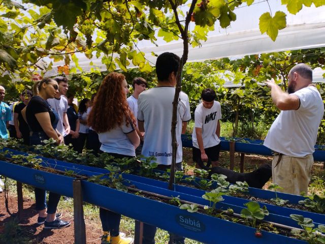 Oeste de SC tem rota com ovelha e culinária Foto Divulgação Epagri
