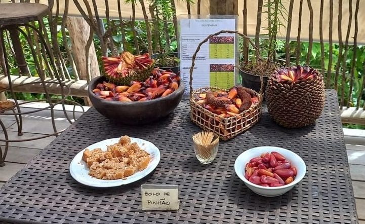 Festival do Pinhão agita Cunha (SP) até 7 5 Foto 4 Divulgação Estância Climática de Cunha