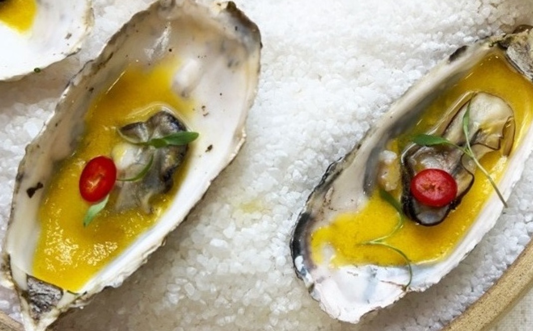 Focado em pescado, Nôa é aberto em Ipanema Foto Divulgação Nôa Ipanema 1