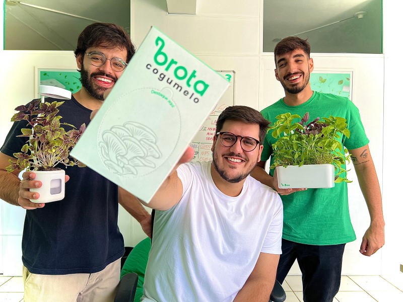 Startup cria kit de cultivo de cogumelo em casa Foto 2 Divulgação Brota Company