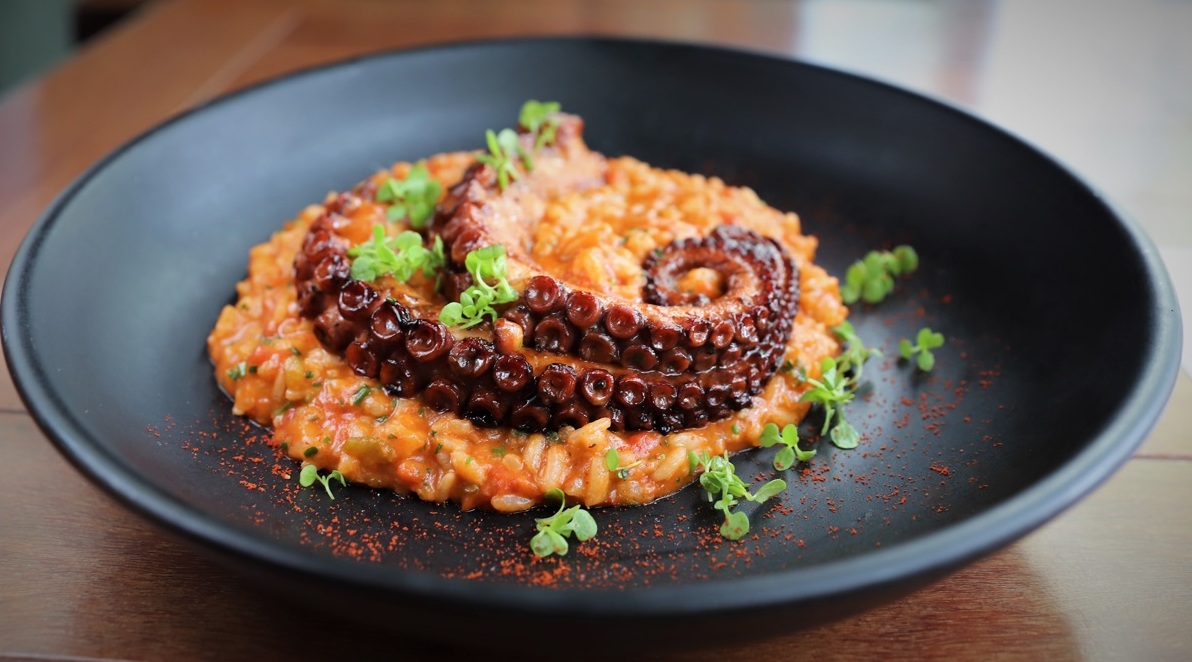 Chef Vieira, do Santo Grão, cria menu de inverno Foto 2 Renata Kerkmeester Divulgação Santo Grão