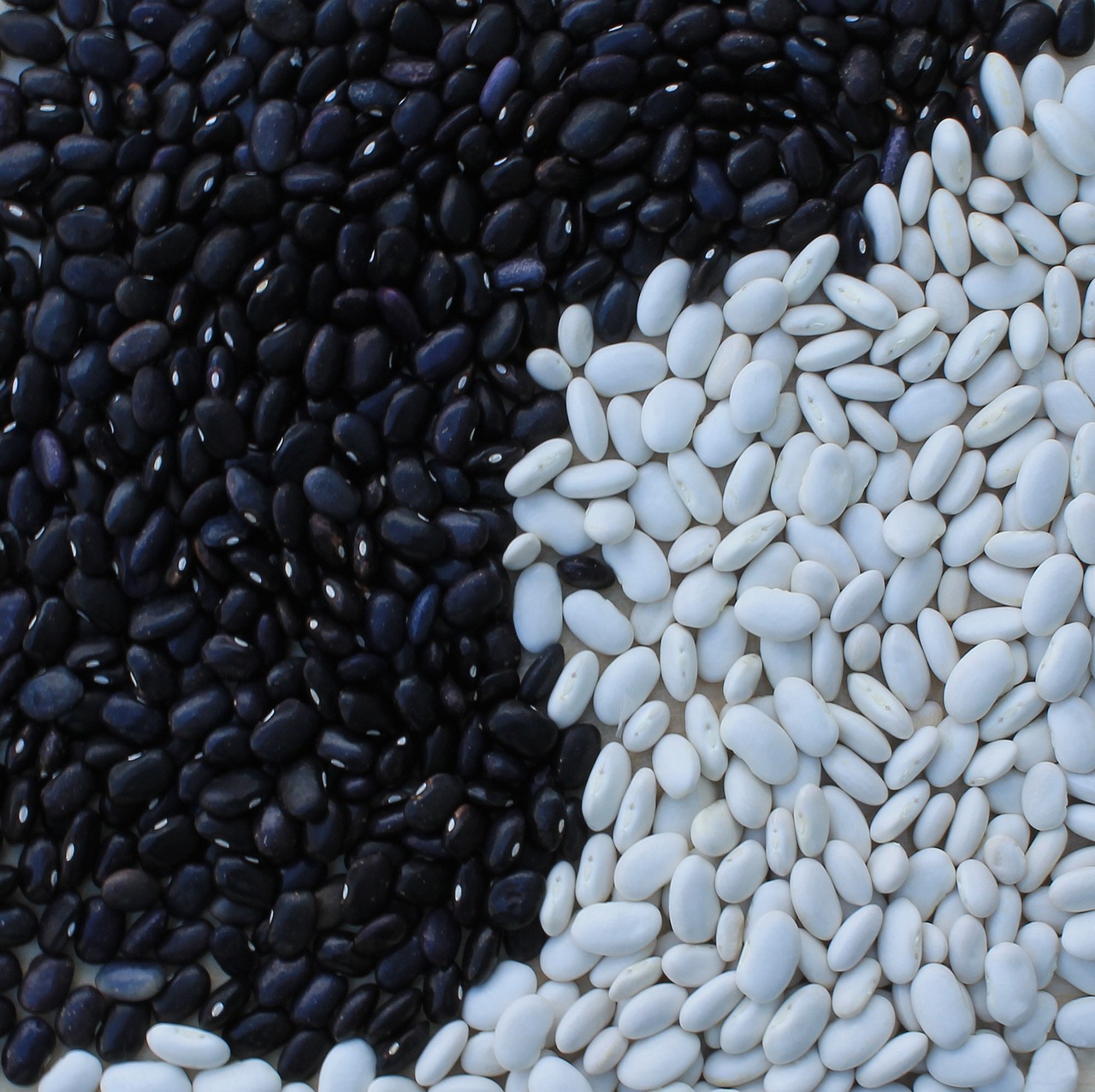 Mudança climática reduz valor nutricional dos alimentos Foto Artverau_Pixabay