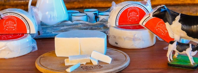 Queijo Minas Artesanal do Cerrado conquista IG Foto Divulgação Associação de Produtores de Queijo Minas Artesanal do Cerrado (Aprocer