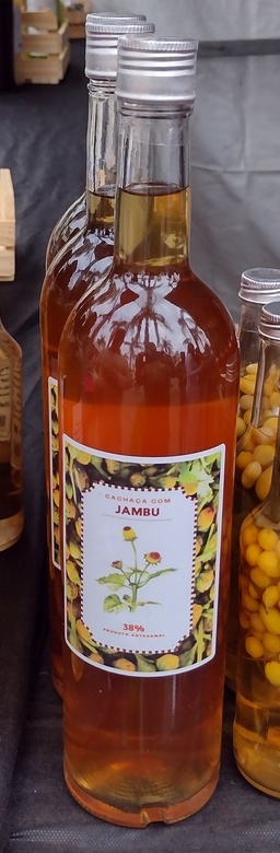 Paraense fabrica picles, licor e pimenta com jambu Foto 2 Claudio Schapochnik_Que Gostoso