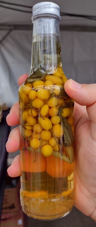 Paraense fabrica picles, licor e pimenta com jambu Foto 3 Claudio Schapochnik_Que Gostoso