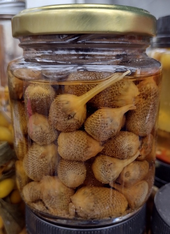 Paraense fabrica picles, licor e pimenta com jambu Foto 4 Claudio Schapochnik_Que Gostoso