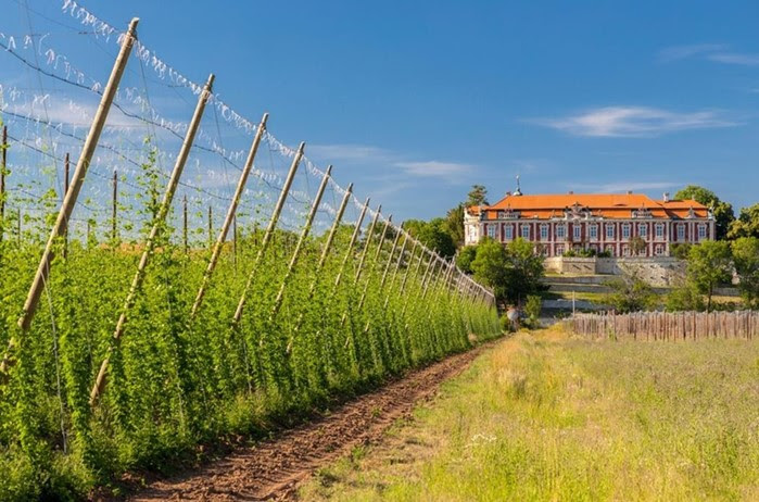 Lúpulo garante novo Patrimônio da Unesco à Tchéquia Foto 3 Divulgação Czech Tourism