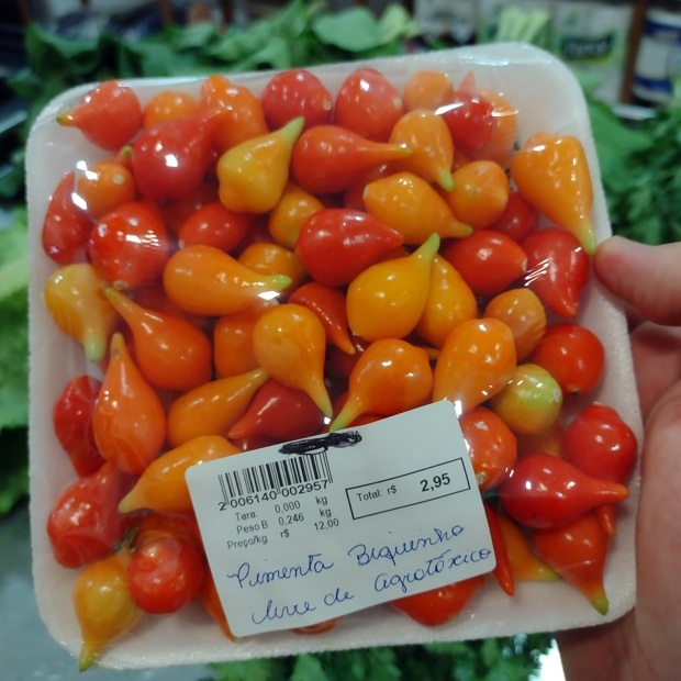 Artesanais e únicos, Noah acerta em molhos de pimenta Foto 16 Claudio Schapochnik_Que Gostoso