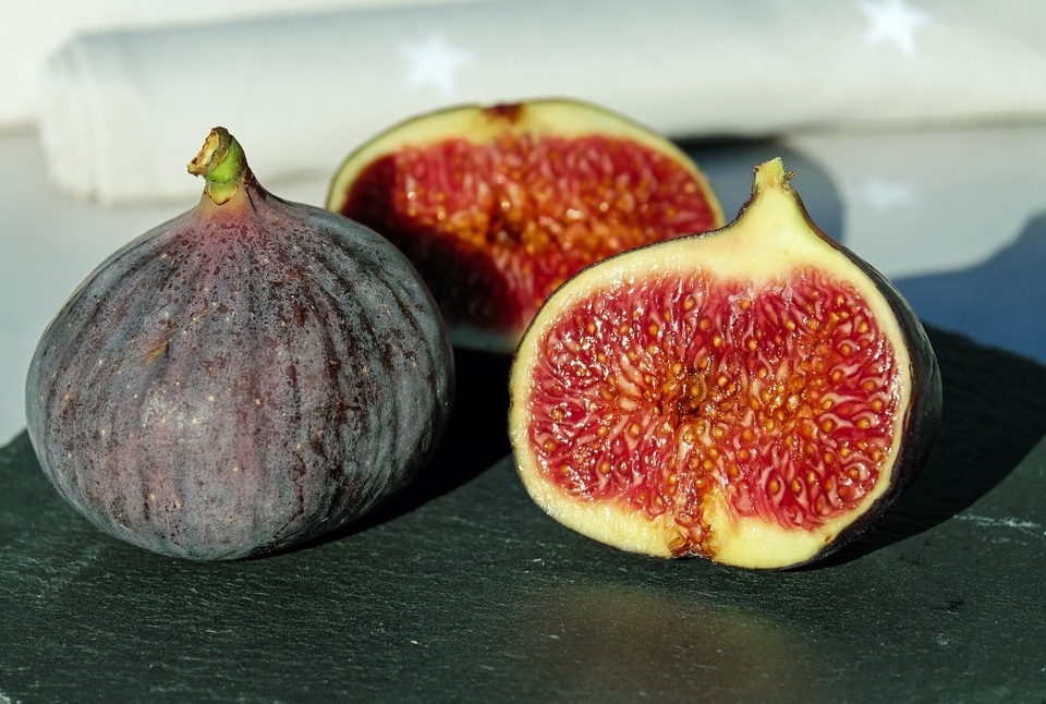 Blue Tree tem pacotes para Festa do Figo de Valinhos Foto Couleur_Pixabay