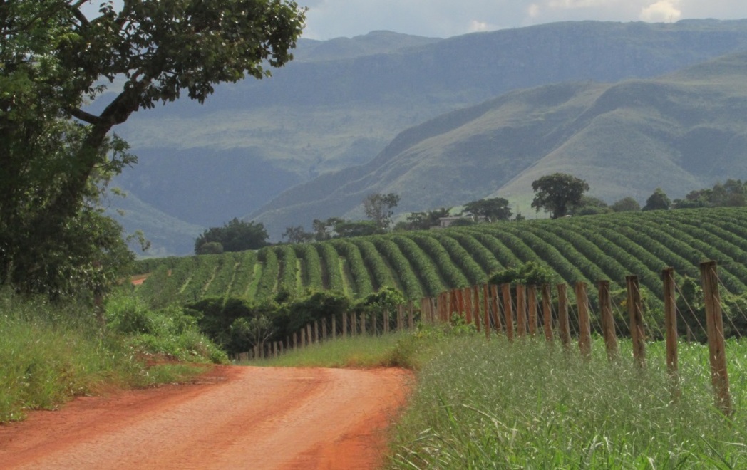 Guia traz experiências mineiras de Turismo Rural Foto 2 Claudio Schapochnik_Que Gostoso