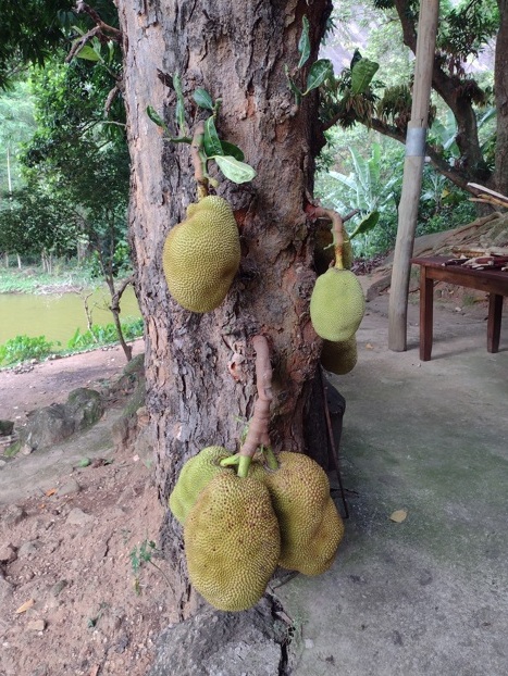 Conheça as delícias do Empoçado, nas Montanhas Capixabas Foto 4 Claudio Schapochnik_Que Gostoso
