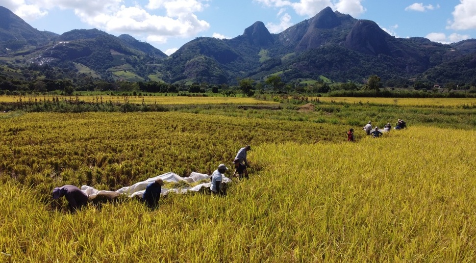 Vale do Empoçado é pura beleza nas Montanhas Capixabas Foto 4 Vitor Petronetto