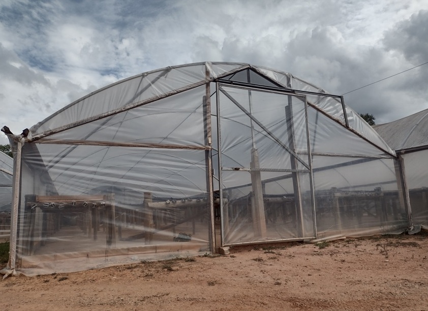 Exótico, café do jacu vem das Montanhas Capixabas Foto 1 Claudio Schapochnik_Que Gostoso