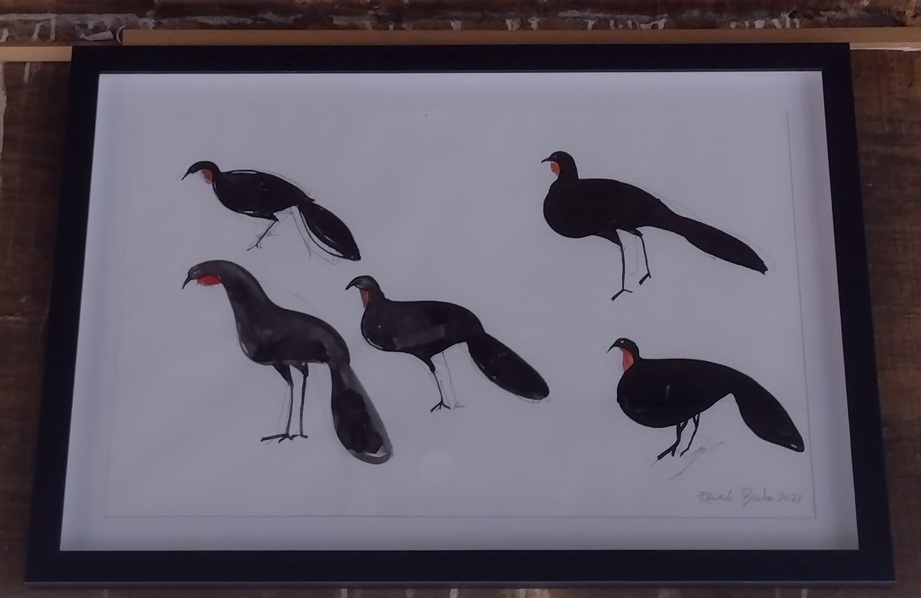 Exótico, café do jacu vem das Montanhas Capixabas Foto 7 Claudio Schapochnik_Que Gostoso