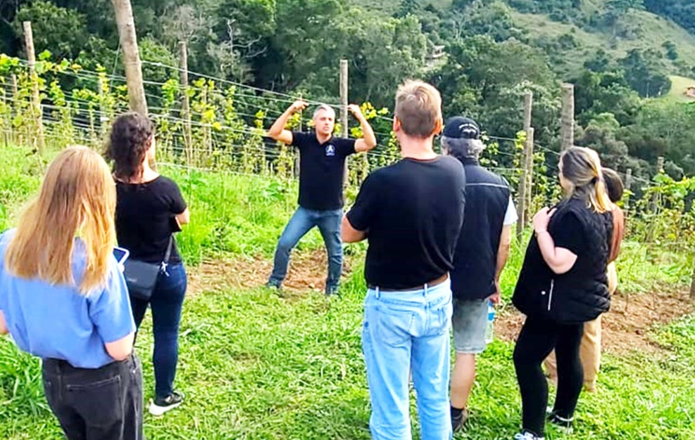 Gonçalves (MG) inicia projeto de enoturismo 4 Foto Divulgação Restaurante Sauá