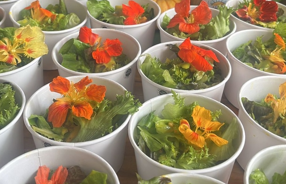 Rede divulga informação sobre alimentação saudável Foto 2 Divulgação Rede Conexão Solo Vivo