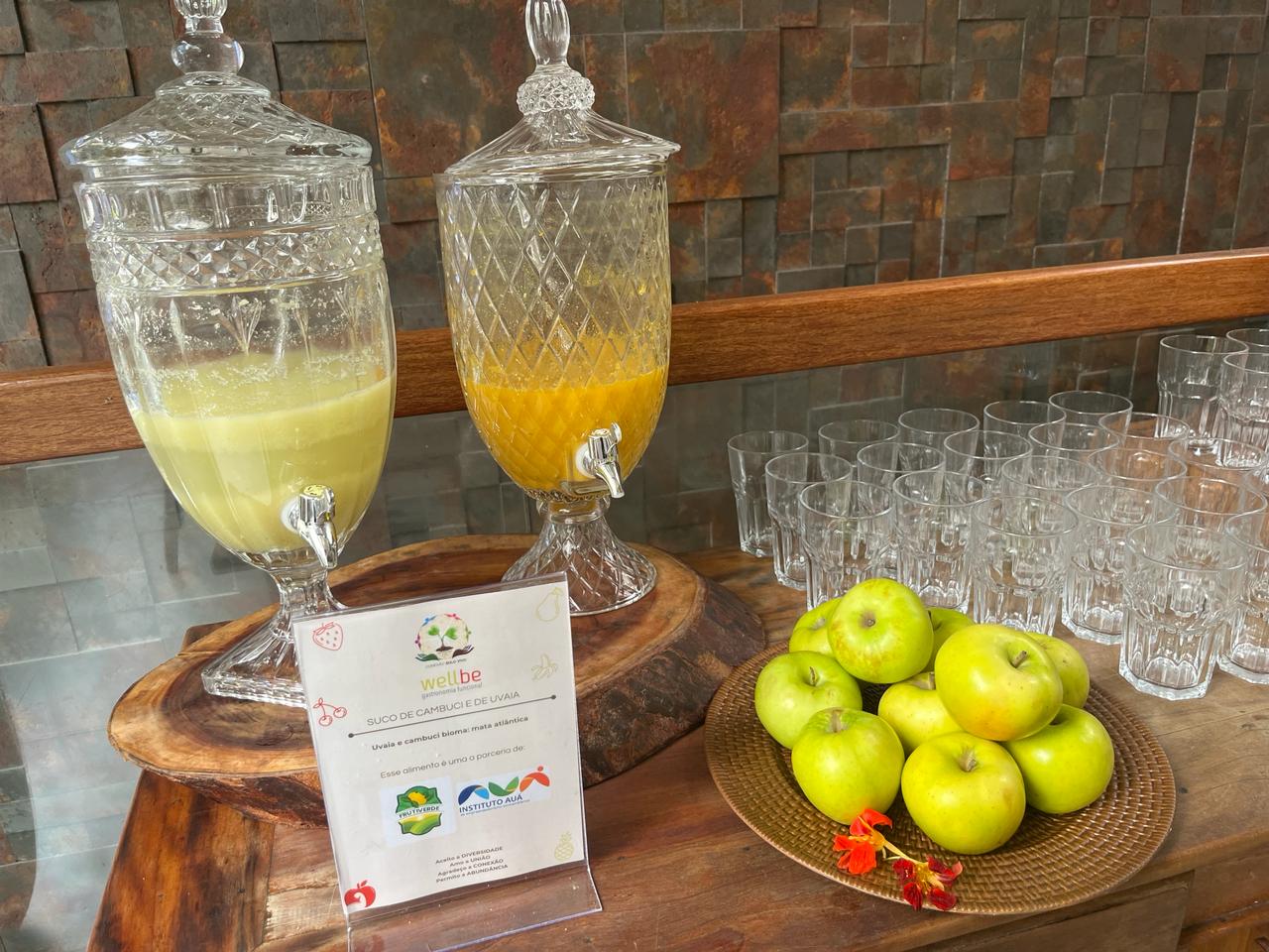 Rede divulga informação sobre alimentação saudável Foto 3 Divulgação Rede Conexão Solo Vivo