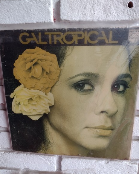 Sabores da Praia – Ilhabela Belerin traz Lula com Vinagrete Defumado 4 Foto Claudio Schapochnik_Que Gostoso