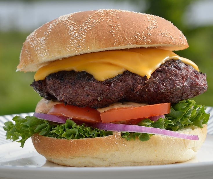 São Paulo Burger Gourmet segue até 23 de junho Foto Andera Olofsson_Pixabay