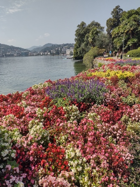 Suíça no Verão Lugano assegura natureza fabulosa 17 Foto Claudio Schapochnik_Que Gostoso