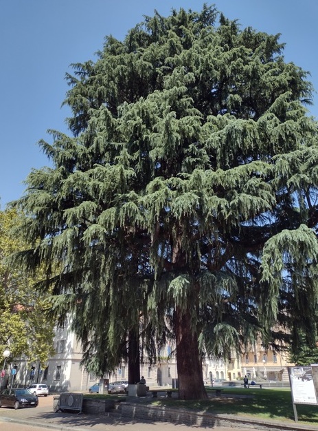Suíça no verão Bellinzona encanta com castelos 30 Foto Claudio Schapochnik_Que Gostoso
