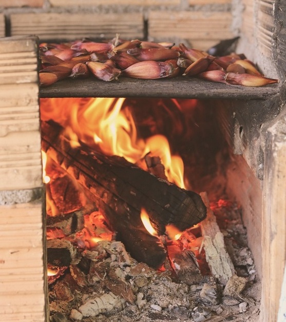 Cadeia do pinhão ganhará rastreabilidade e IG Foto Canto de Passaros_Pixabay