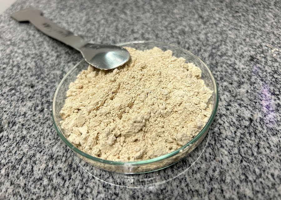 Pesquisa cria concentrados proteicos de lentilha e grão-de-bico 1 Foto Kadijah Suleiman_Embrapa Agroindústria de Alimentos