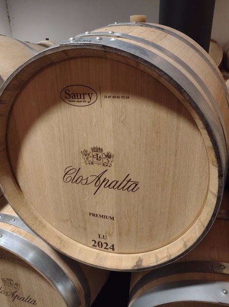 Chile Clos Apalta produz vinhos com DNA francês 10 Foto Claudio Schapochnik_Que Gostoso