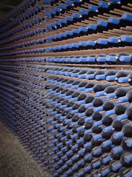 Chile Clos Apalta produz vinhos com DNA francês 12 Foto Claudio Schapochnik_Que Gostoso