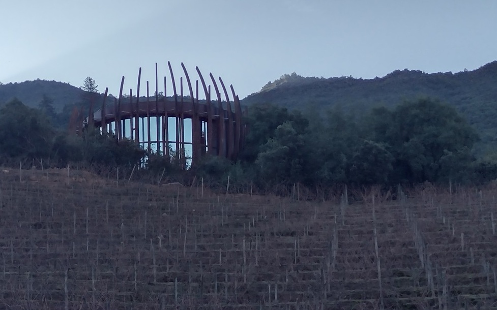 Chile Clos Apalta produz vinhos com DNA francês 6 Foto Claudio Schapochnik_Que Gostoso