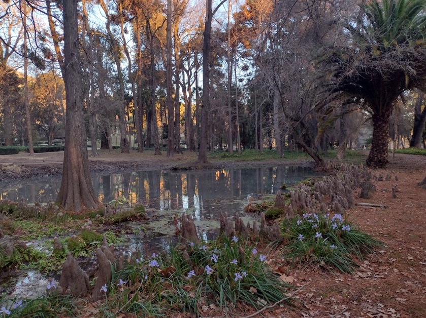 Chile Viña Santa Rita une vinho, jardim e hotel 10 Foto Claudio Schapochnik_Que Gostoso