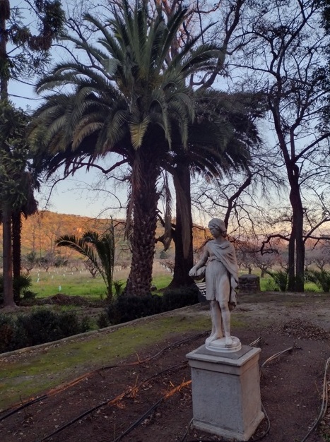 Chile Viña Santa Rita une vinho, jardim e hotel 14 Foto Claudio Schapochnik_Que Gostoso