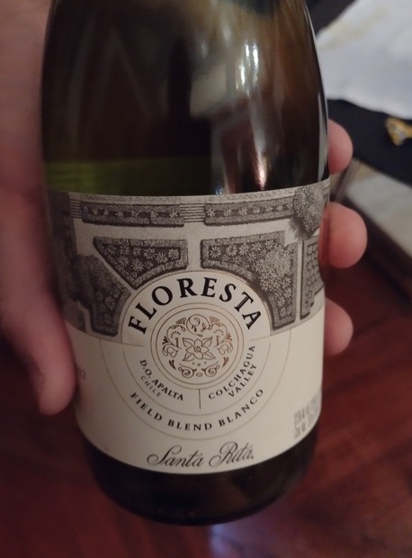 Chile Viña Santa Rita une vinho, jardim e hotel 19 Foto Claudio Schapochnik_Que Gostoso