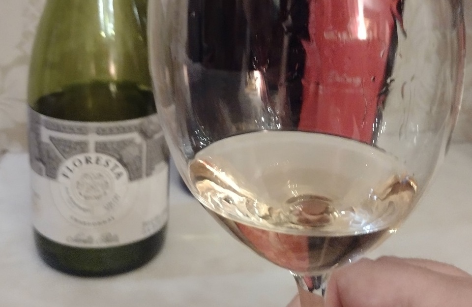 Chile Viña Santa Rita une vinho, jardim e hotel 5 Foto Claudio Schapochnik_Que Gostoso