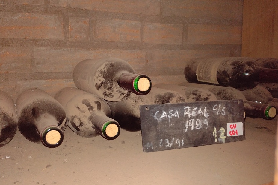 Chile Viña Santa Rita une vinho, jardim e hotel 7 Foto Claudio Schapochnik_Que Gostoso