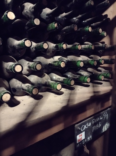 Chile Viña Santa Rita une vinho, jardim e hotel 9 Foto Claudio Schapochnik_Que Gostoso