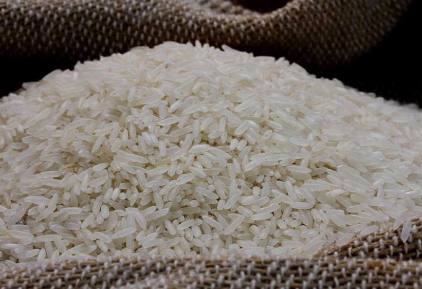 Arroz rastreado da Embrapa chega ao mercado 1 Foto Paulo Lanzetta Divulgação Embrapa