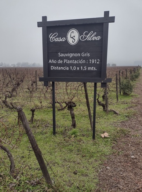 Chile Viña Casa Silva tem hotel e excelente cozinha 24 Foto Claudio Schapochnik_Que Gostoso