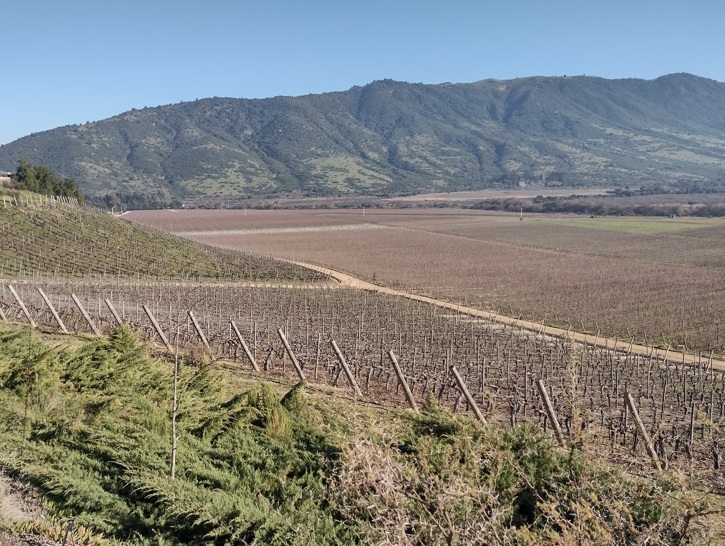 Chile Viña Santa Cruz, de bons vinhos até teleférico 20 Foto Claudio Schapochnik_Que Gostoso