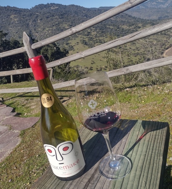 Chile Viña Santa Cruz, de bons vinhos até teleférico 6 Foto Claudio Schapochnik_Que Gostoso