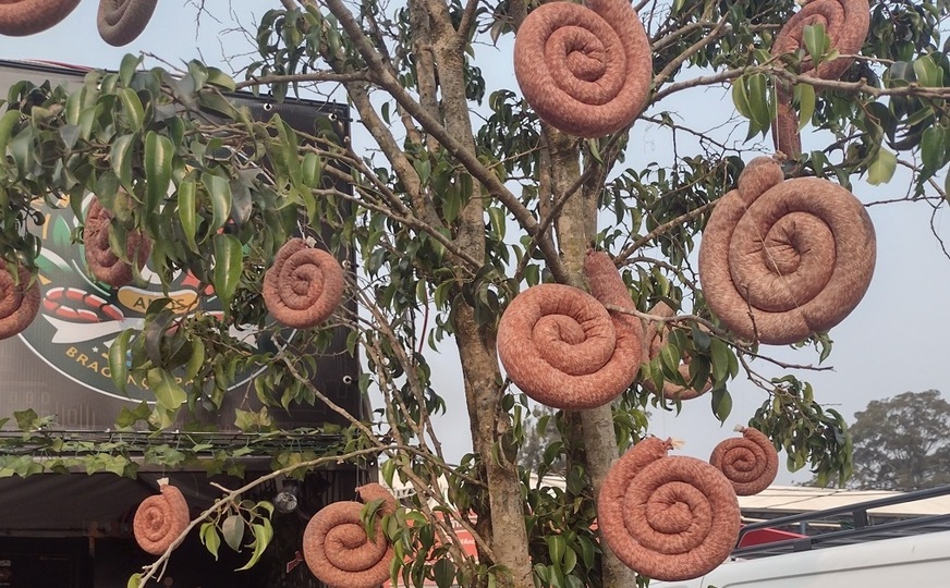 Famosa leva “pé de linguiça” ao Festival de Bragança 7 Foto Claudio Schapochnik_Que Gostoso!