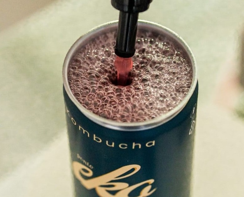 Kombucha de MG ganha destaque em concurso Foto Divulgação Ponto Eko