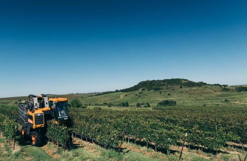 Salton estreia selo da IP Campanha Gaúcha Foto Daniela Rodavelli Divulgação Vinícola Salton