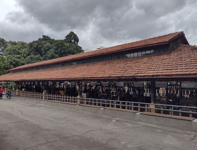 Caipirinha vira geleia na Clamar Conservas (SP) 3 Foto Claudio Schapochnik_Que Gostoso!