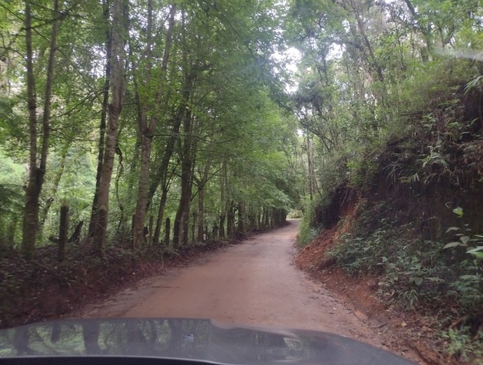 Parque Bambuí é joia rara de Campos do Jordão 1 Foto Claudio Schapochnik_Que Gostoso!