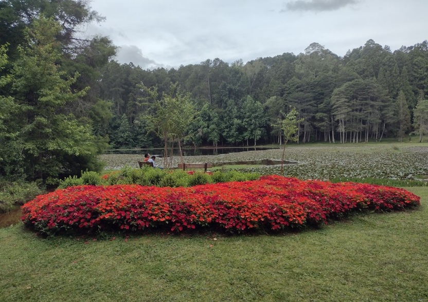 Parque Bambuí é joia rara de Campos do Jordão 12 Foto Claudio Schapochnik_Que Gostoso!