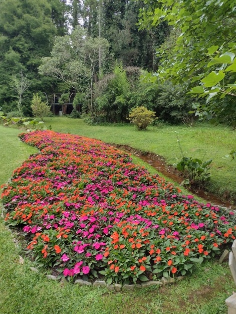 Parque Bambuí é joia rara de Campos do Jordão 13 Foto Claudio Schapochnik_Que Gostoso!