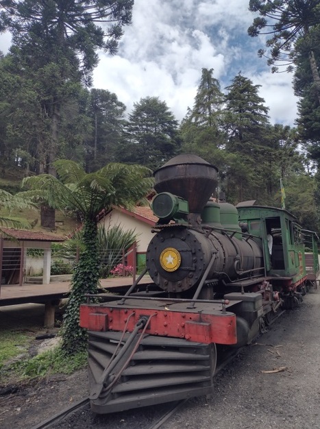 Parque Bambuí é joia rara de Campos do Jordão 7 Foto Claudio Schapochnik_Que Gostoso!