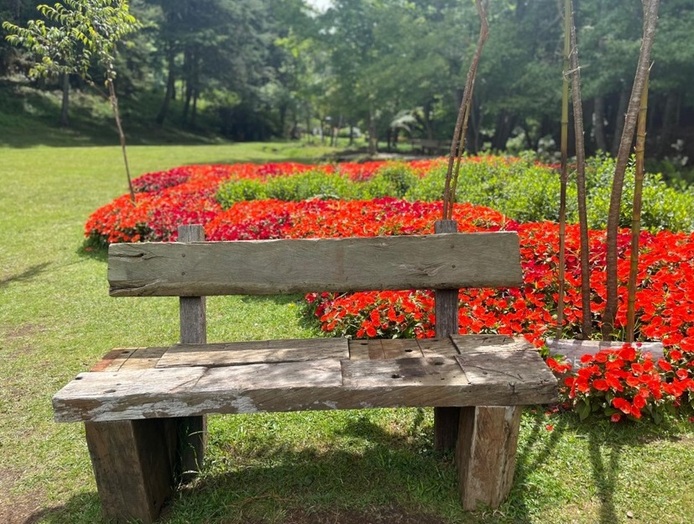 Parque Bambuí é joia rara de Campos do Jordão 7 Foto Mirella Usiglio_Que Gostoso!